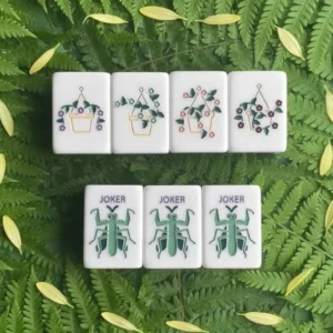 Exquisite-pattern Acrylic American Mahjong Set Perfect for Home Use or As a Gift