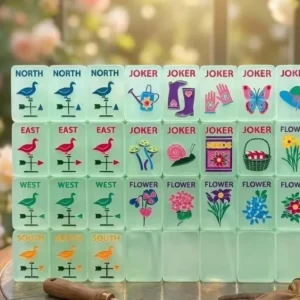 Luxury Mint-Green Transparent Acrylic American-Style Mahjong Set 160 Tiles Hand-Painted and Carved Mahjong