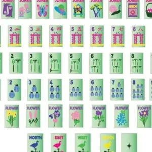 Luxury Mint-Green Transparent Acrylic American-Style Mahjong Set 160 Tiles Hand-Painted and Carved Mahjong