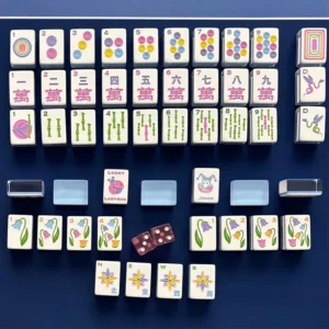 Luxury Modern American Mahjong Aqua Blue Lucky Ladybug American-Style Mahjong Set Hand-Molded Foldable Mahjong Tiles Portable