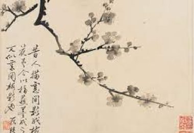 Plum_blossom_2